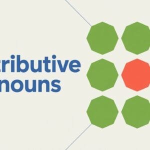 What Are Distributive Pronouns
