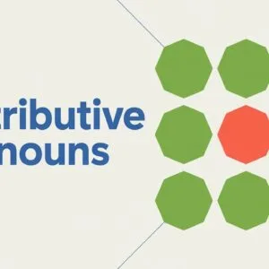 What Are Distributive Pronouns