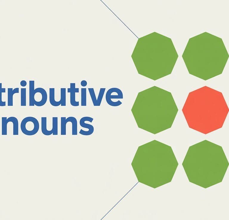 What Are Distributive Pronouns