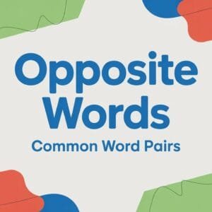 List of Opposite Words in English