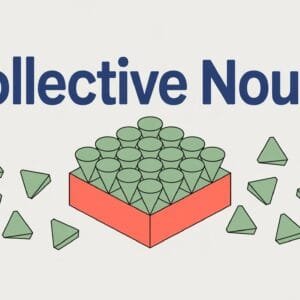 Collective Noun