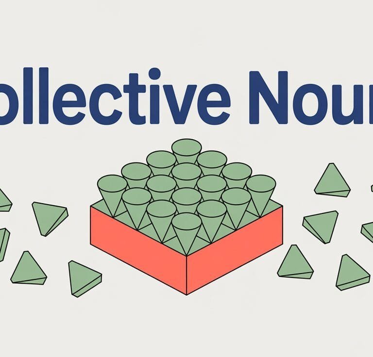 Collective Noun