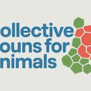 Collective Nouns for Animals