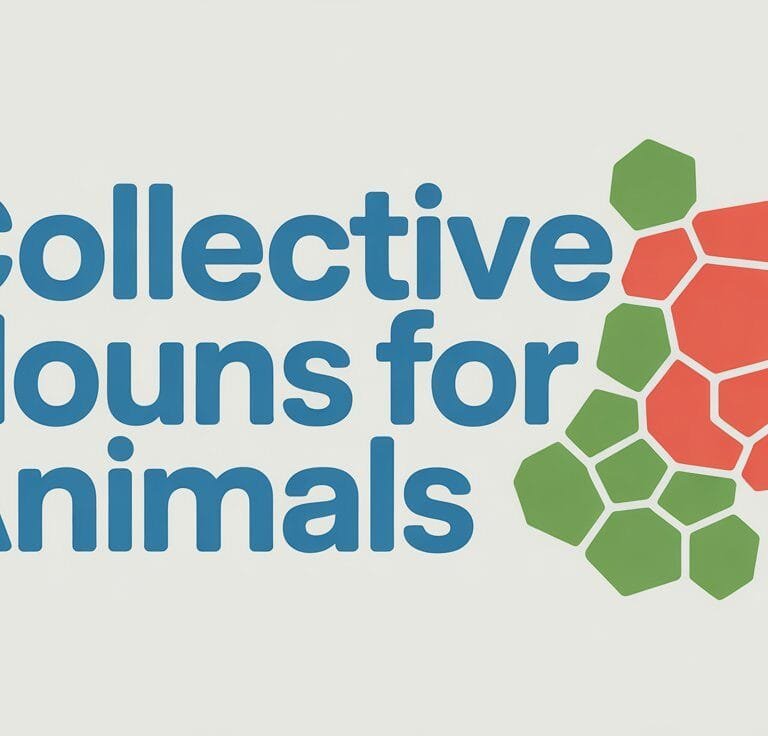 Collective Nouns for Animals
