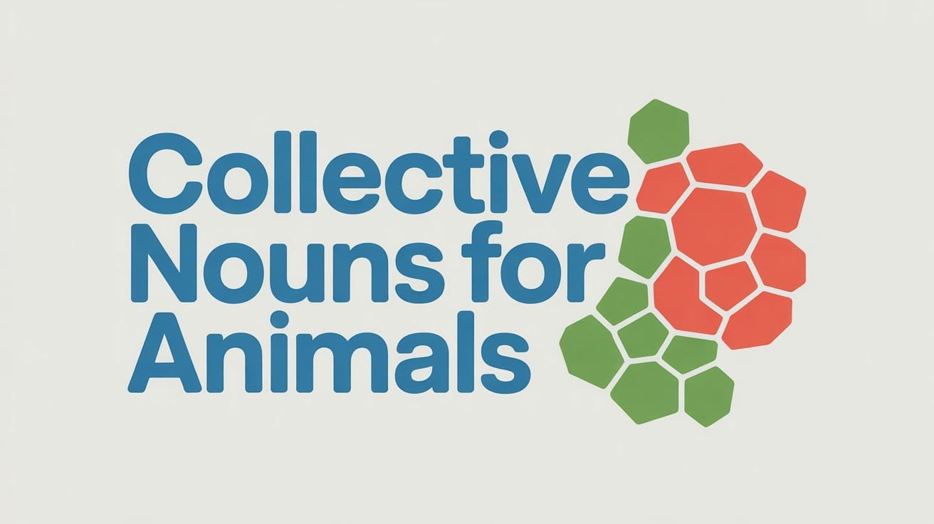 Collective Nouns for Animals