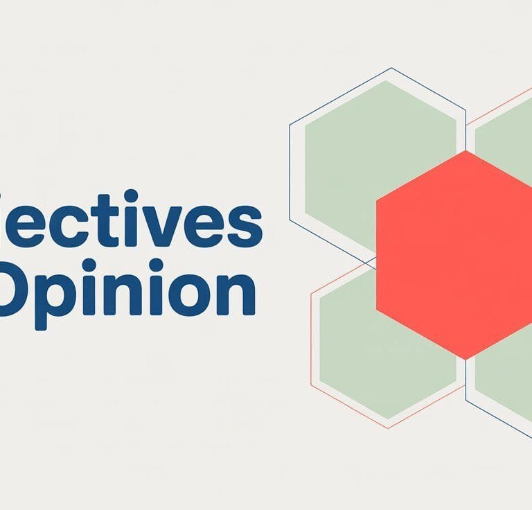 What Are Adjectives of Opinion