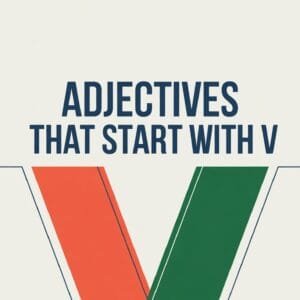 Adjectives That Start With V