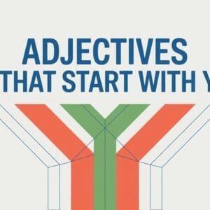 Adjectives That Start With Y