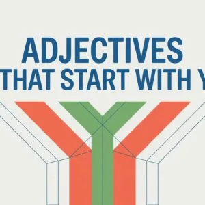 Adjectives That Start With Y